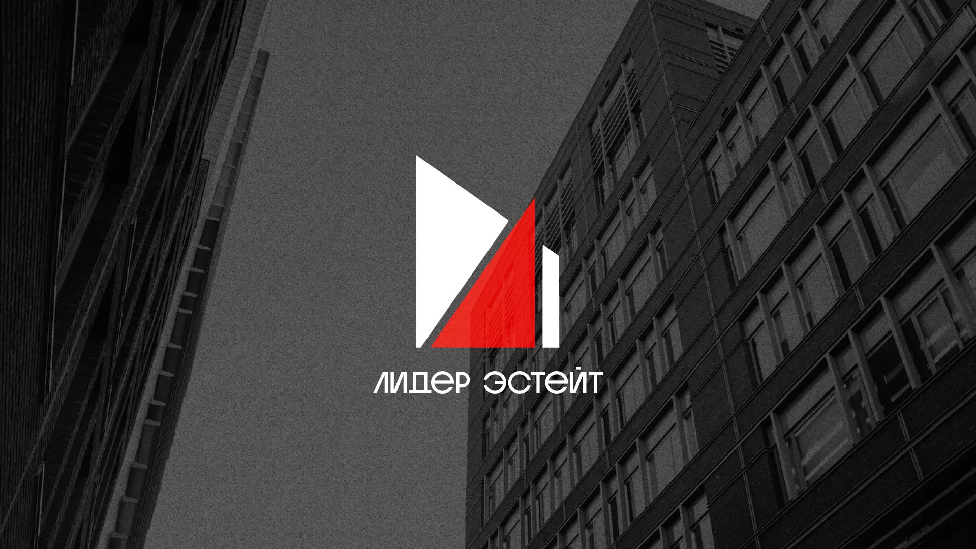 Сделали логотип для агентства недвижимости «Лидер Эстейт» в Бутурлиновке